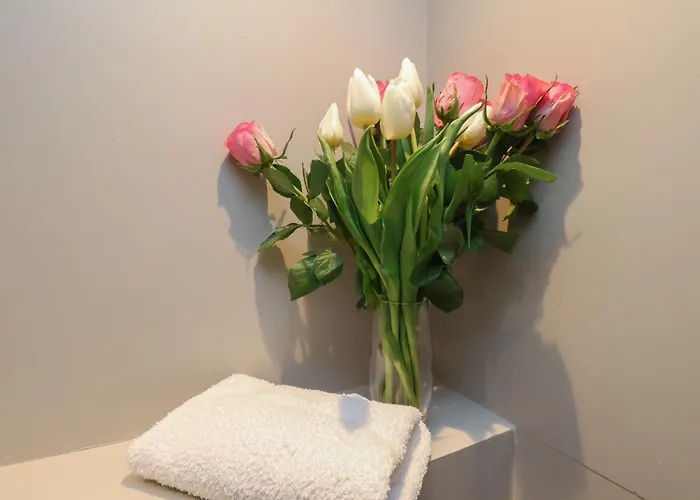 South Dom wakacyjny Whitby